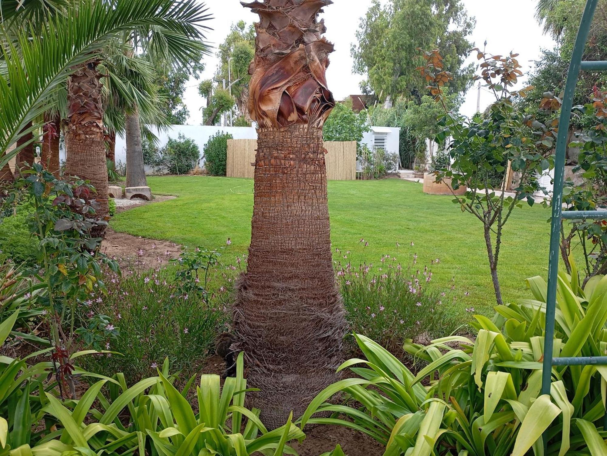 Au Bout Du Jardin Βίλα Καρχηδόνα Εξωτερικό φωτογραφία